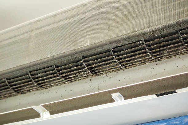 Best Home Air Vent Cleaning  in Minot Af, ND